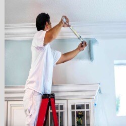 fresh-look-painting-works-ernakulam-i48ur-250 fresh-look-painting-works-ernakulam-i48ur-250